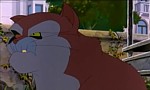 Felidae - image 3